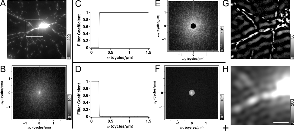 Spatial Filtering in Fourier domain