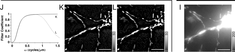 Spatial Filtering in Fourier domain