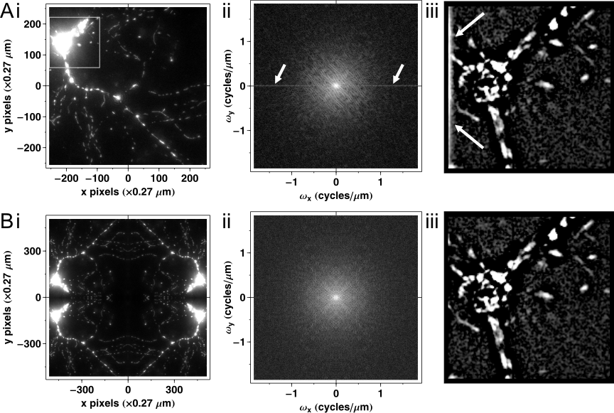 Spatial Filtering in Fourier domain:  Edge Artifacts